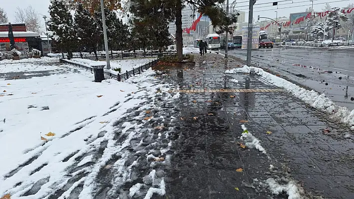 Kayseri'nin her sokağını mesken tuttular! Dondurucu soğuk bile engel olmadı