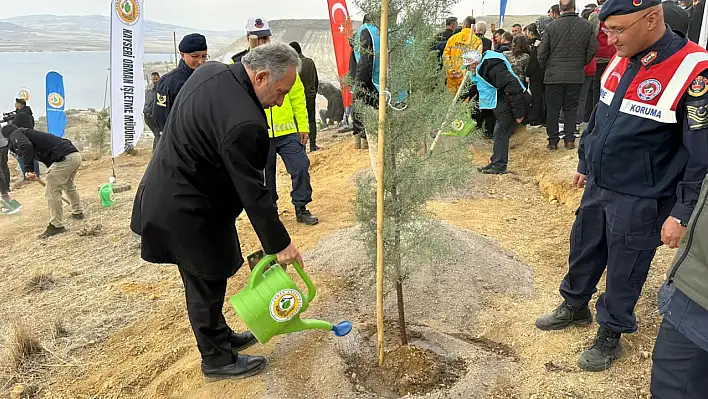 Kayseri'nin meşhur dağı yeşilleniyor
