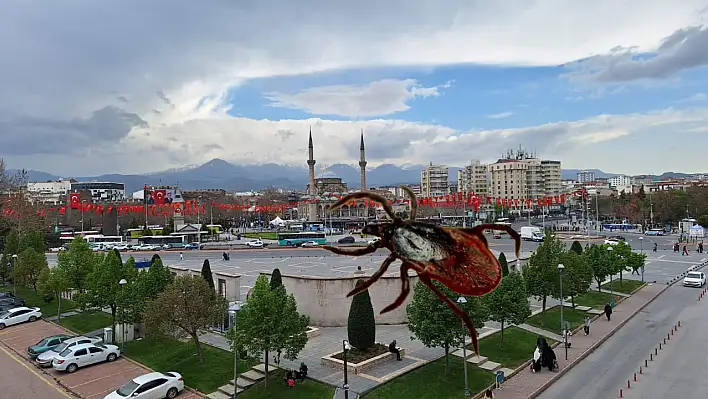 Kayseri'nin o bölgesinde kene sayısı yükseldi! Belediye duyuru yaptı