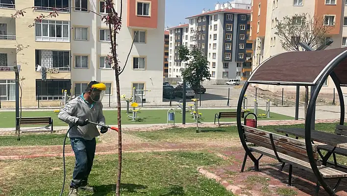Kayseri'nin o ilçesinde kene ve haşerelere karşı uyarı yapıldı
