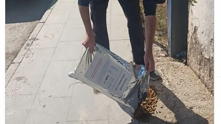 Kayseri'nin o ilçesinde sokak hayvanları aç kalmıyor vatandaş uygun et alıyor