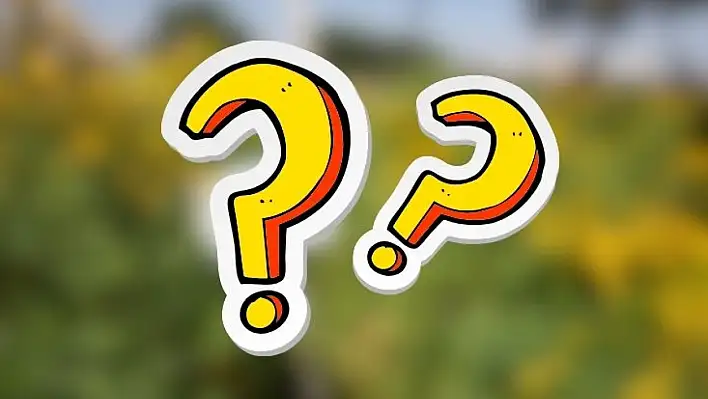 Kayseri ormanlarında saklı bir mucize: Bu bitki sağlık için ne kadar etkili?