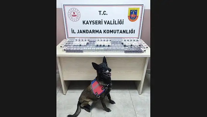 Kayseri Pınarbaşı'da kaçak sigara ele geçirildi!