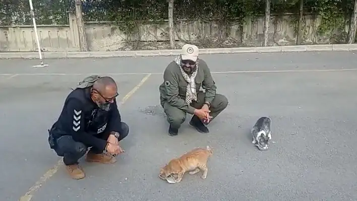 Kayseri polisinden hayvanlara şefkat eli...