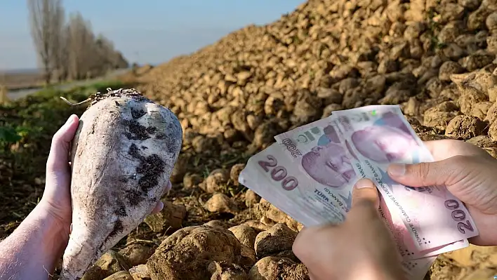 Kayseri Şeker'den rekor fiyat! Ton ücreti belli oldu