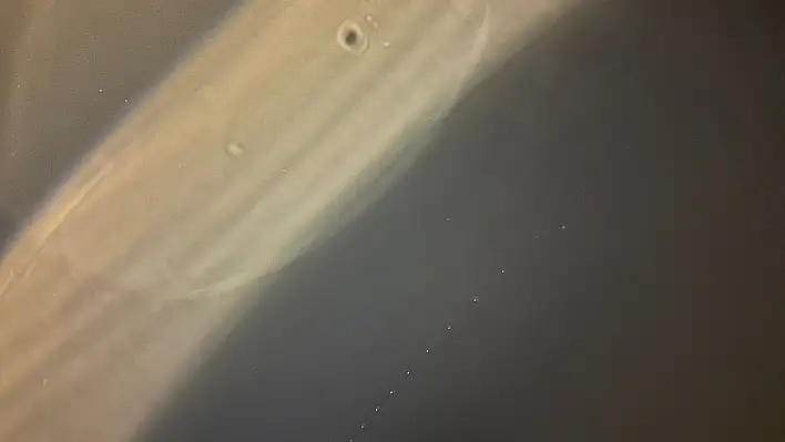 Kayseri semalarında gizemli ışık sıralaması