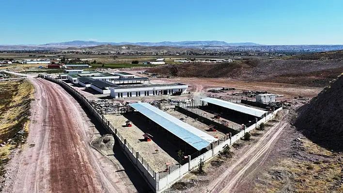 Kayseri'ye ''beş yıldızlı'' barınak: Kocasinan'dan dev merkez!