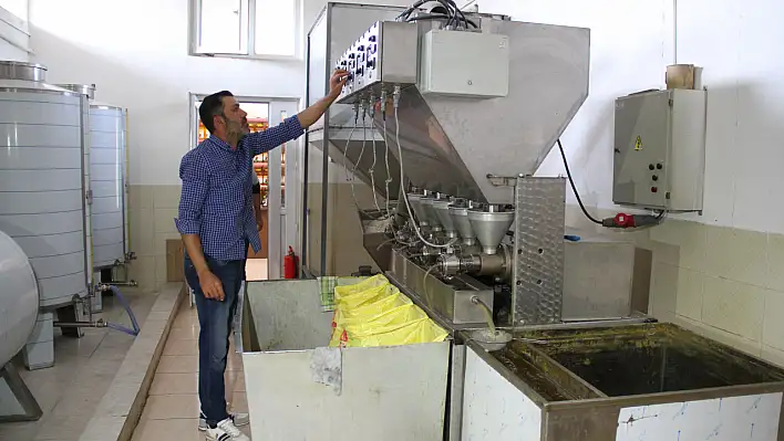 Kayseri'ye önemli gelir kaynağı! - 200 milyon lira kazanç bekleniyor