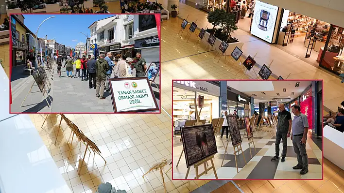 Kayseri, Yozgat, Sivas, Niğde, Nevşehir'de Yeşil Vatan için anlamlı sergi...