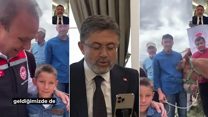 Kayserili Eyüphan, tayının ayağı kırılınca CİMER'e yazdı: Bakan Yumaklı'dan cevap gecikmedi!