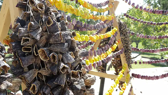 Kayserili kadınlar satamadıkları yöresel ürünleri tüketiciyle buluşturuyor