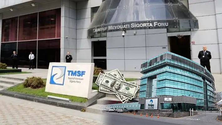 Kayserili şirketler satışa çıkıyor: İşte TMSF eylül ayı takvimi!