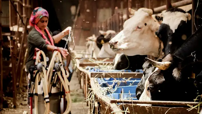Kayserili üreticilere verilecek destek yüzleri güldürdü!