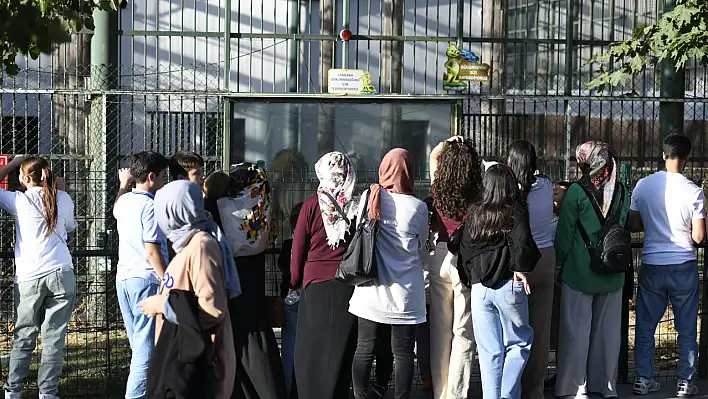 Kayserililerden Başkan Büyükkılıç'ın hayvan sevgisi jesti'ne yoğun ilgi!