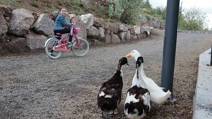 Zincidere Mesire Alanı Kayseri halkı için gezilip görülecek bir yer