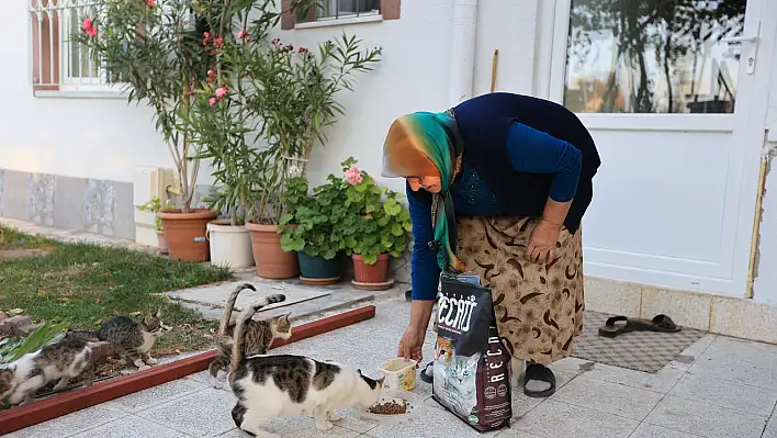 Kedileri için mama isteyen Pembe teyzenin isteğini Büyükşehir yerine getirdi!