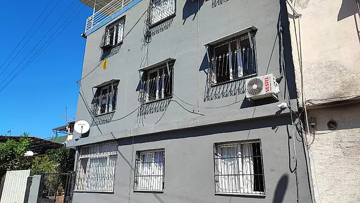 Adana'da şaşırtan olay: 2'nci kattan yavru kedi çaldılar!