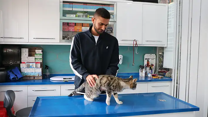 Kediyi çuvala koyup götürmek isterken kaza yaptı