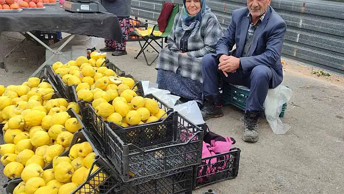 Ayva satarak 7 çocuk okuttular!