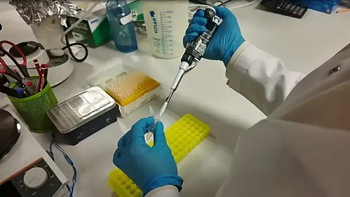 Kene ölümlerine çare Kayseri'den geldi: Aşı çalışmalarında kritik eşik aşıldı!