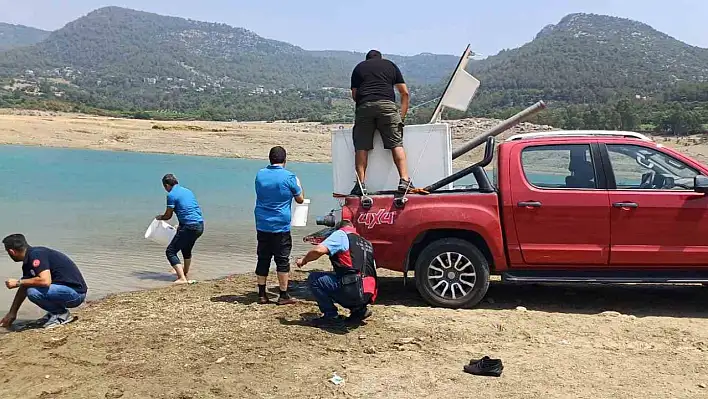 Kilgen Barajı'na 321 bin yavru sazan bırakıldı