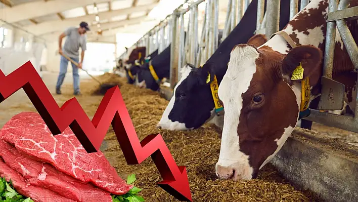 Kırmızı et üretimi 2 yılda tonlarca düştü!