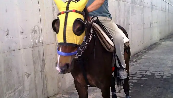 Adana'da otomobilin çarptığı seyis, tedavi gördüğü hastanede hayatını kaybetti