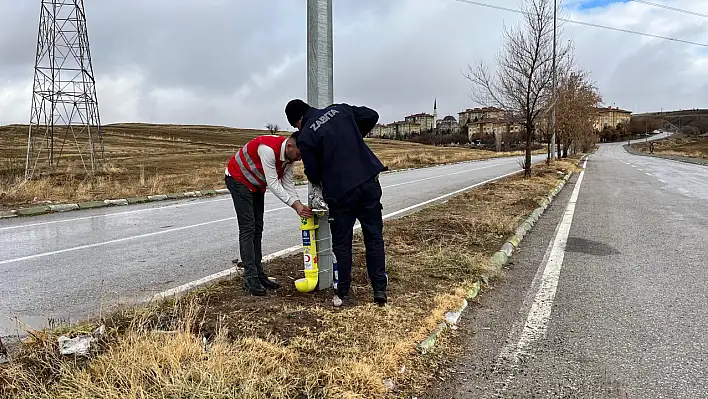 Kış aylarında sokak hayvanlarına sevgi ve şefkat eli