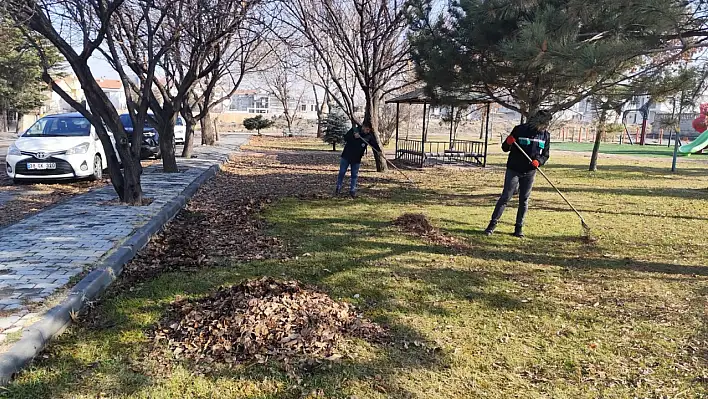 Kış ortasında yeşil seferberliği: Park ve bahçelerde hummalı çalışma!