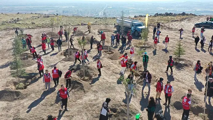 Kocasinan Belediyesi, Kızılay Haftası'nı ağaçlarla taçlandırdı