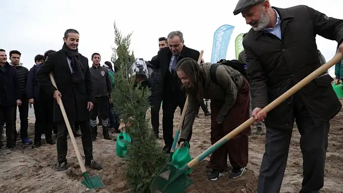 Kocasinan'da son 9 yılda bakın ağaç dikildi?