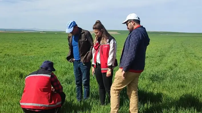 Komşu ilde o hastalıklara rastlandı - Ekiplerden uyarı geldi!