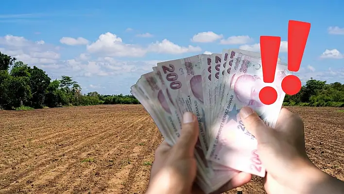 Komşuda fırsat alarmı! 6 parsel birden satışa çıkıyor ''Bu metrekareye bu fiyat olur mu?''