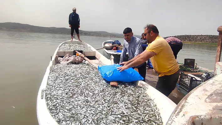 Komşudan Avrupa'ya balık ihracatı!