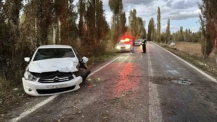 Direksiyon hakimiyetini kaybetti, ağaca çarptı - Yaralılar var!