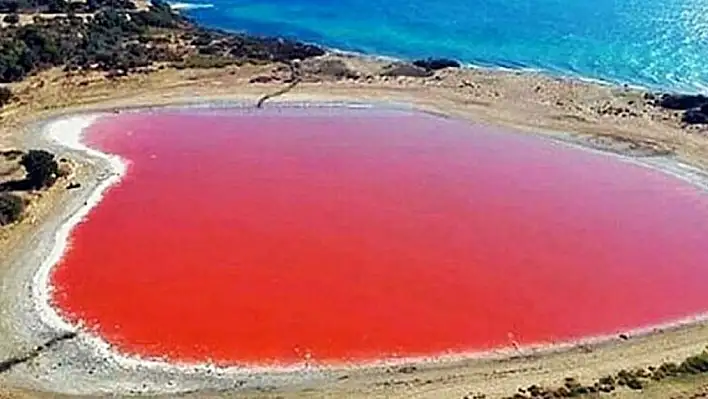 Konya'nın pembe kalbi hayata yenik düştü!