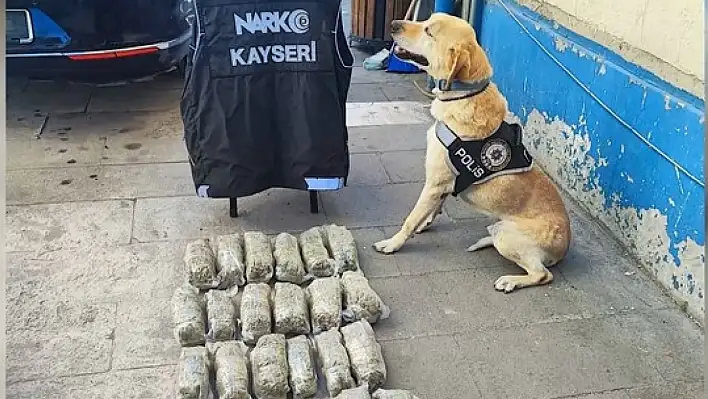 Köpek Jack Kayseri'de başarılı bir operasyona imza attı