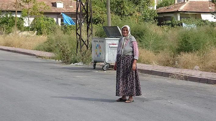 Köpek saldırısı sonrası kahraman teyze bakın neler söyledi...