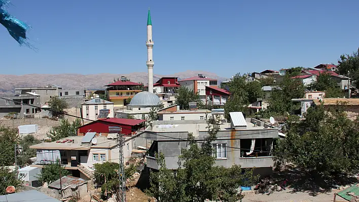 Köy karantinaya alındı - Sahibini ısıran at kuduz çıktı