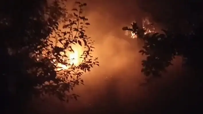 Adana Kozan'da bahçe yangını korkuttu!