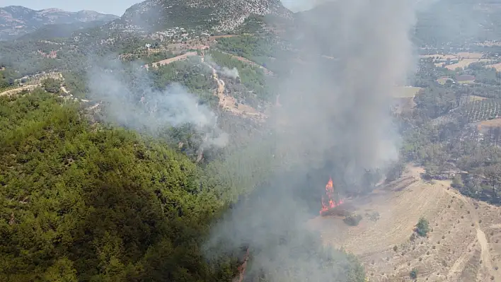 Kozan'daki Yangın 8 Evi Yerle Bir Etti!