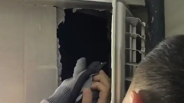 Kuaförün havalandırma boşluğuna sıkışan güvercinin imdadına itfaiye yetişti!