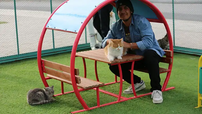 Küçük Dostlar Kedi Kasabası yoğun ilgi görüyor