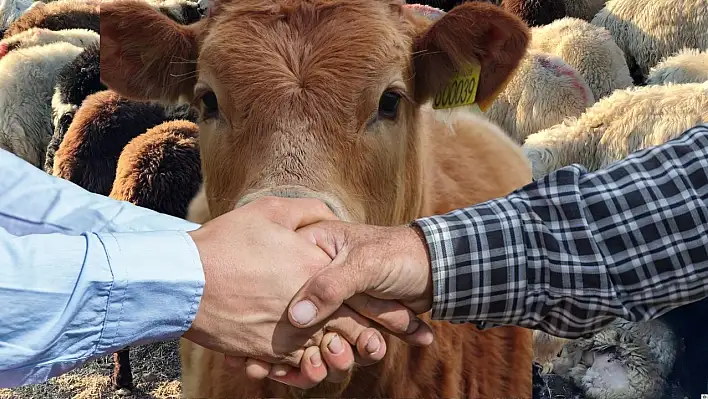 Kurbanlık alacaklar dikkat: Bayram öncesi bu tuzağa düşmeyin!