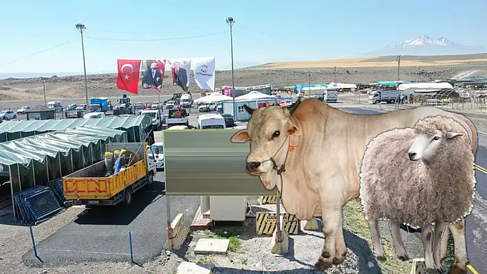 Kurbanlık mı, bağış mı? İşte pazar ve kurum fiyatları!
