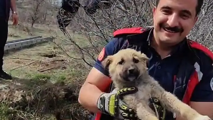 Kuyuya düşen minik köpeğin imdadına itfaiye yetişti