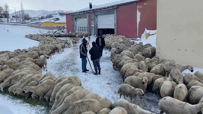 Mahsur kalan çobana sahip çıkıldı