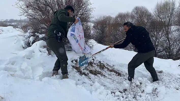 Malatya'da yaban hayvanlarına yem bırakıldı