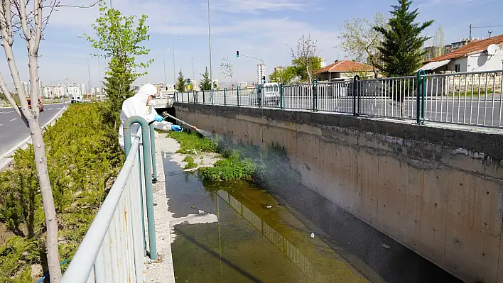 Melikgazi'de Haşere Kabusu Son Buluyor