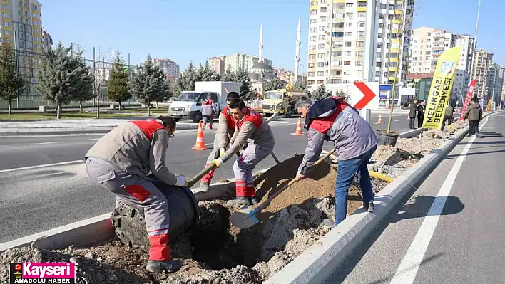 Melikgazi ilçeyi devasa ağaçlarla yeşillendirmeye devam ediyor